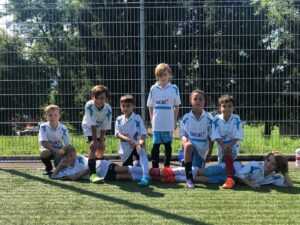FS 2014-2
