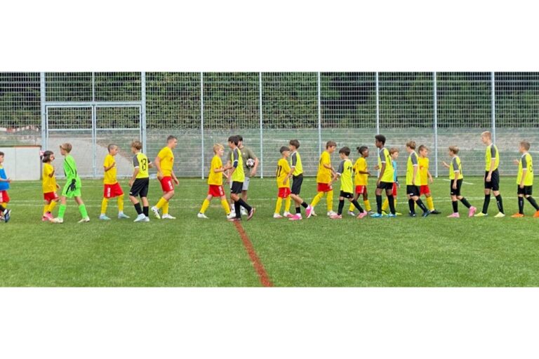 Spiel Greifensee